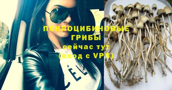прущая мука Алзамай