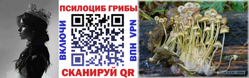 Псилоцибиновые грибы прущие грибы  продажа наркотиков  Светлоград 